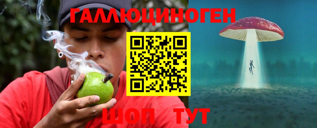 Псилоцибиновые грибы прущие грибы  Вход с VPN  где найти   Псилоцибиновые грибы ЛСД  Новокубанск 